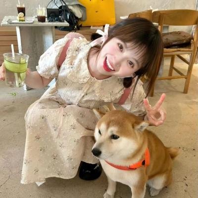 盛夏光年