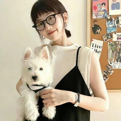 今晚不要让我们去打狗